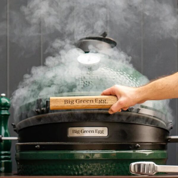 Big Green Egg Rotisserie/ Draaispit